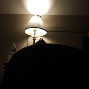 Meet your Posher, Colin